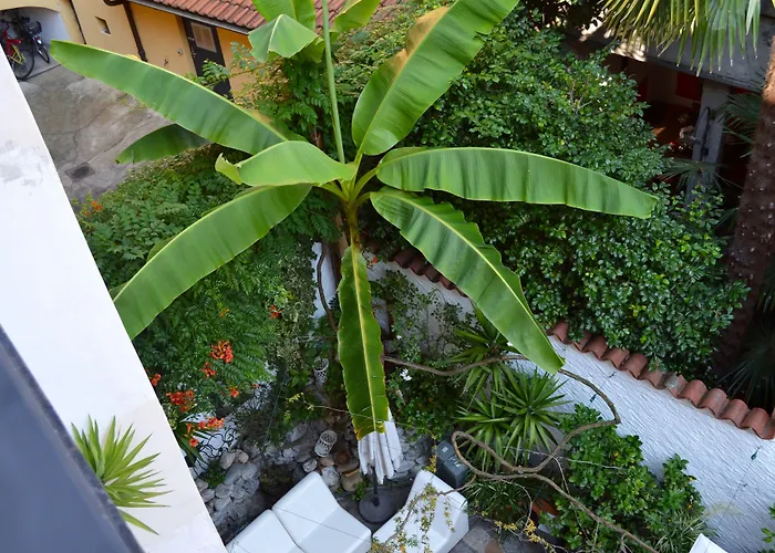 Caffe Dell'arte Boutique Locarno