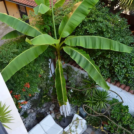 Caffe Dell'arte Boutique Locarno