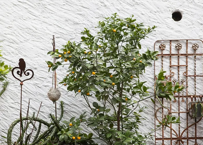 Caffe Dell'arte Boutique Locarno